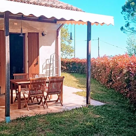 Ciclamini - Indipendente Tra Mare E Collina